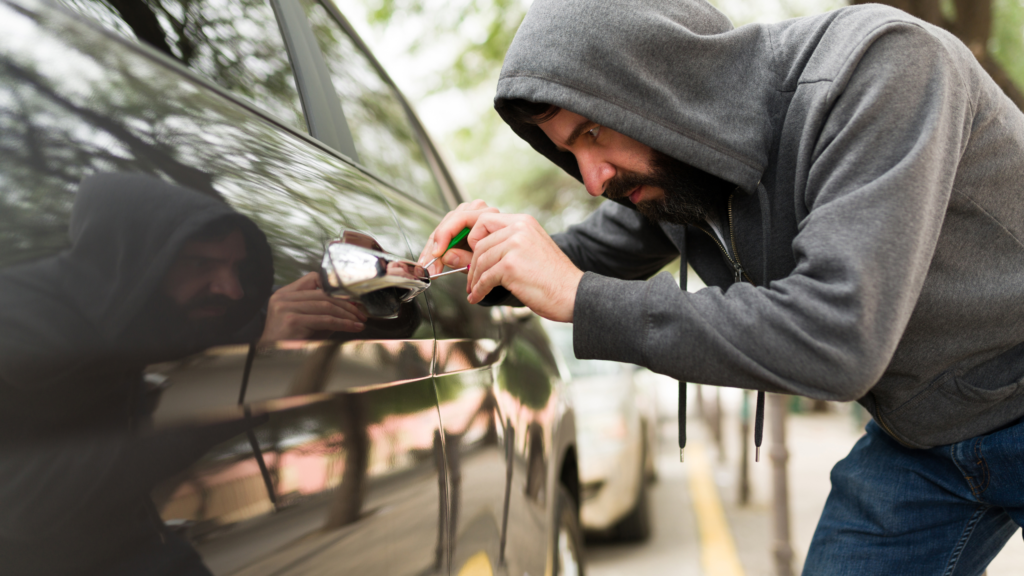 consulta placa veiculo